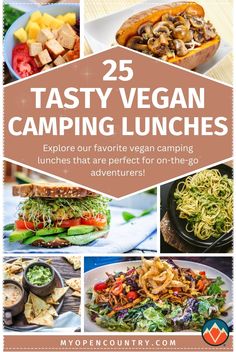 the cover of 25 tasty vegan camping lunches