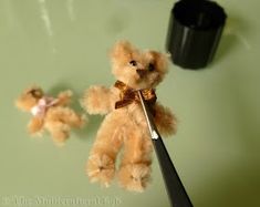 a teddy bear is being held by a pair of scissors