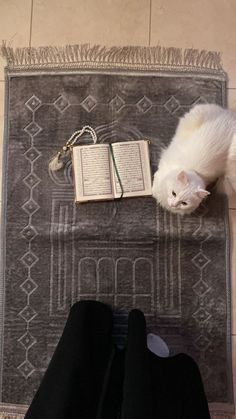 a white cat laying on top of a rug next to a person's feet