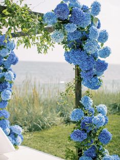 blue flowers are growing up the side of a wooden trellis by the water's edge