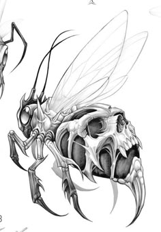 a black and white drawing of a fly insect with two wings on it's back