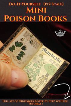 a person holding an open book with the title do it yourself 12 - scale mini poisonbooks