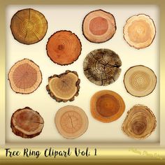 several different types of tree rings arranged in a golden frame with the words free ring clipart vol 1