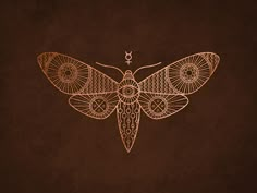 a drawing of a moth on a brown background