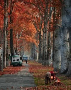 two people standing on the side of a road next to trees with leaves all over them