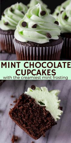 chocolate cupcakes with white frosting and green sprinkles on top