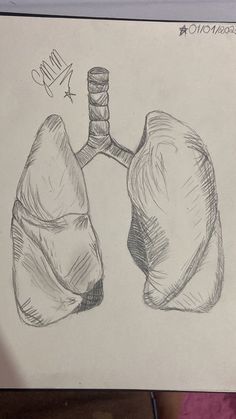 a drawing of a bottle and two lungs