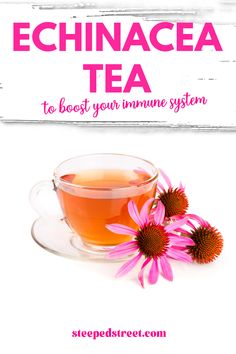 a cup of tea with pink flowers next to it and the words echinacea tea