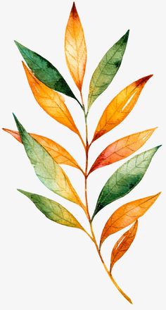 a watercolor painting of leaves with green and orange colors on the top, against a white background