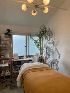 a room with a bed, plant and shelves on the wall next to it that has various items in them