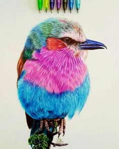 a colorful bird sitting on top of a green plant next to some crayons