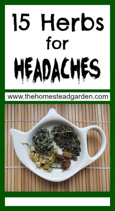 15 Herbs for Headaches Lavender Rosemary, Natural Therapy, Healing Herbs, Natural Home Remedies