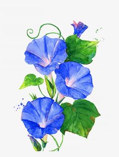 watercolor painting of blue flowers with green leaves