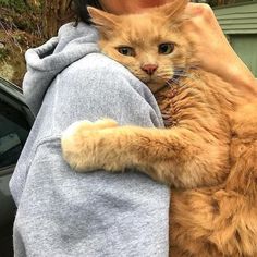 a woman holding an orange cat in her arms while standing next to a parked car