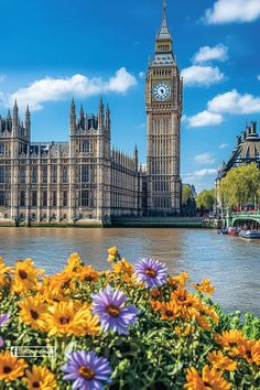 the big ben clock tower towering over the city of london with flowers in foreground