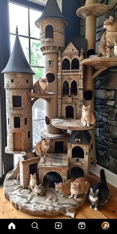 several cats laying on top of a cat tree house