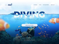 the diving course website is displayed on a computer screen, with an image of clown fish and diver