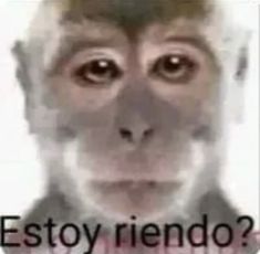 a monkey with the words estoy riendo? on it's face