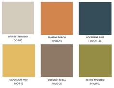 the different colors of paint for walls and ceiling in various shades, including brown, green,