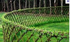 an image of a fence made out of branches and ivy growing on the side of it