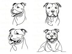 four different types of dogs with their mouths open and tongue out, in black and white