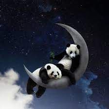 two panda bears are sitting on the moon