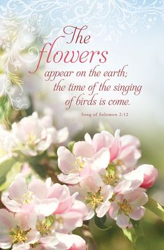 the flowers appear on the earth, the time of the singing of birds is come