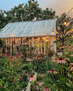 a garden with lots of flowers and plants growing inside of the house, surrounded by greenery