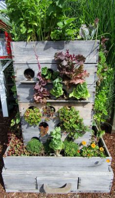 a wooden planter filled with lots of plants