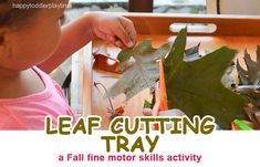 Leaf Activities For Kids, Leaf Activities, Kids Educational Crafts, Teaching Babies, All About Me Activities, About Me Activities, Fall Arts And Crafts