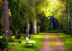 a park bench sitting on the side of a dirt road in front of tall trees