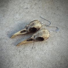 Halloween Raven Skull Earrings Super-Mini 1.5" Size - Cast Bone Resin Replica (Aged Finish) - Taxide Creepy Earrings, Fantasy Earrings, Witch Earrings, Teenager Gifts, Raven Skull, Bone Jewelry, Pagan Jewelry, Bird Skull, Snake Jewelry