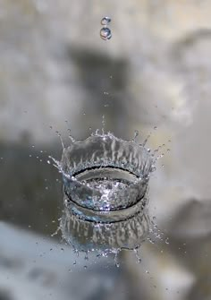 a water droplet is seen in this image