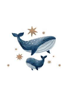 two whales are swimming in the water with stars on their back and one is jumping up