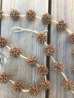 some pine cones are tied together on a wooden board with string and twine around them