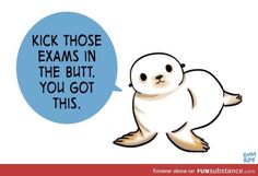 Funny All The Best Wishes For Exams, Funny Exam Wishes, Good Luck Quotes For Exams Motivation Encouragement, Good Luck Exams Motivation, Funny Study Motivation, Exam Motivation Encouragement, All The Best For Exams, Motivational Doodles, Exam Encouragement