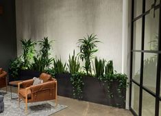 a living room filled with lots of plants next to a wall mounted planter on the wall