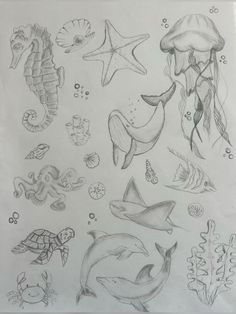 pencil drawing of sea animals and fish