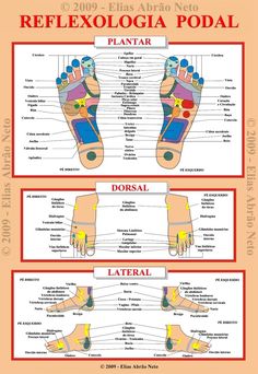 Reflexology Benefits, Polarity Therapy, Reflexology Foot Chart, Health Tonic, Holistic Therapies, Foot Massage, Pressure Points