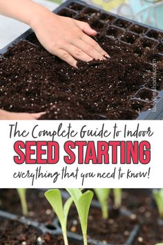 the complete guide to indoor seed starting everything that you need to know is easy and fun