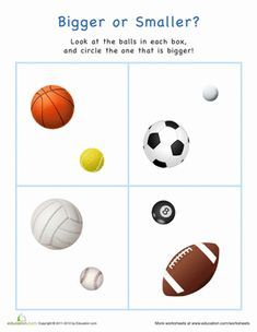 a poster with different types of balls on it