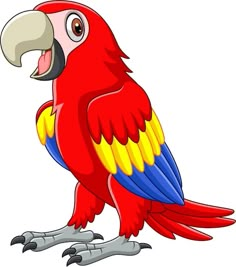 a red and yellow parrot sitting on top of a branch