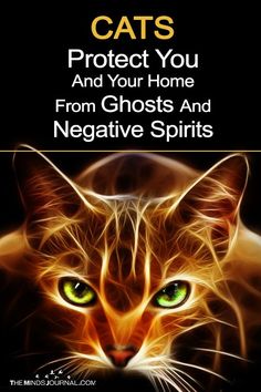 a cat with green eyes and the words cats protect you and your home from ghost and negative spirits