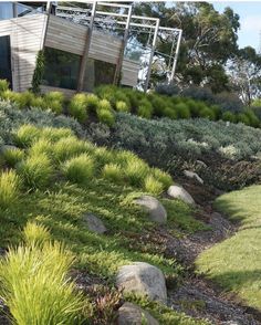 a hillside with grass and rocks in the foreground, next to a modern building