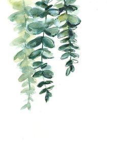 watercolor painting of green leaves on white background