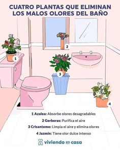 a bathroom with pink walls and flooring has flowers in the pot on the toilet