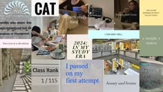 a collage of images with the words cat in different languages and pictures on them