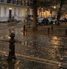 a fire hydrant sitting on the side of a wet street