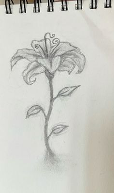 a pencil drawing of a flower on paper