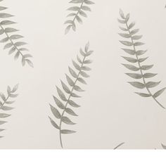 Fern Wallpaper, Sample, White & Green Line Art Wallpaper, Find Wallpaper, Fern Wall, Fern Wallpaper, Painted Wallpaper, Wallpaper White, Painted Walls, White Green, Fern